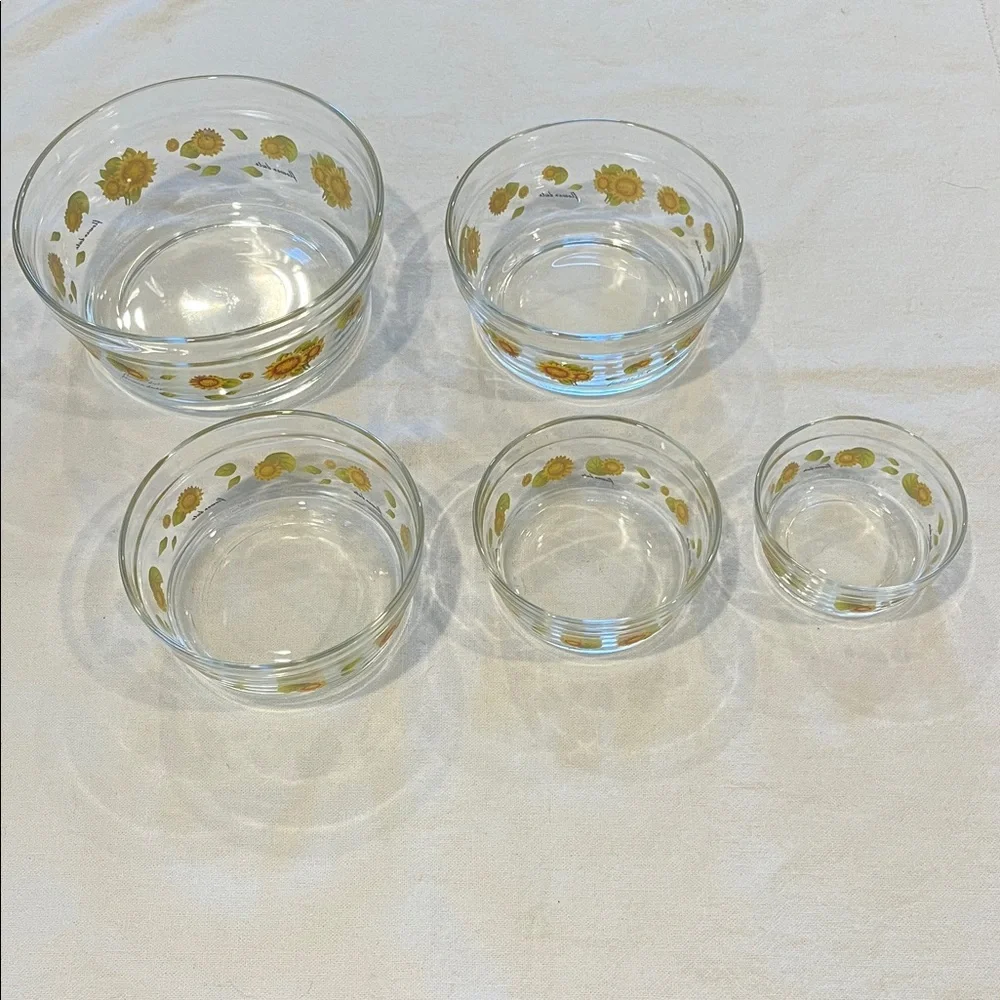 Glass Bowl Set